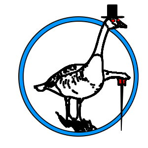all geese are assholes